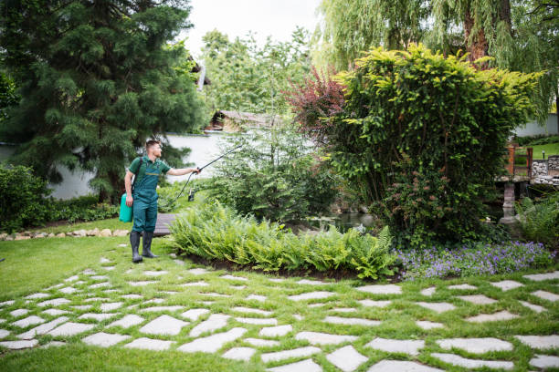Best Best Pest Control Companies  in Athens, AL