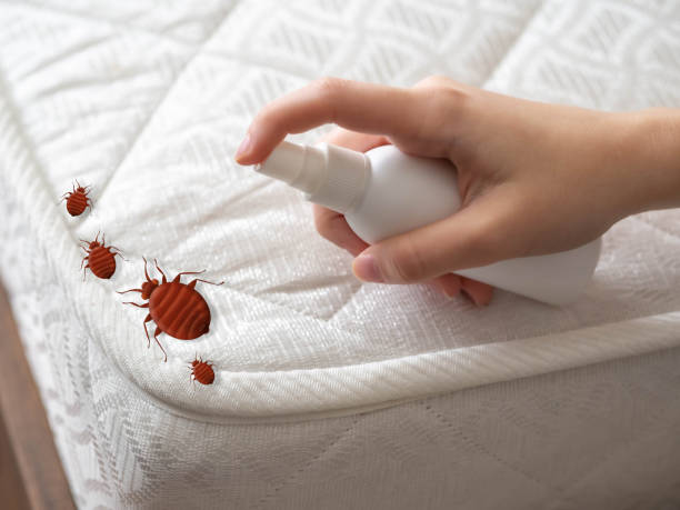 Best Emergency Pest Control  in Athens, AL