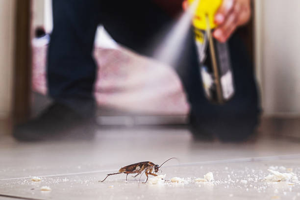 Best Commercial Pest Control Services  in Athens, AL